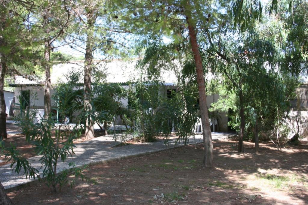 Villaggio Sabbiadoro 维耶斯泰 外观 照片